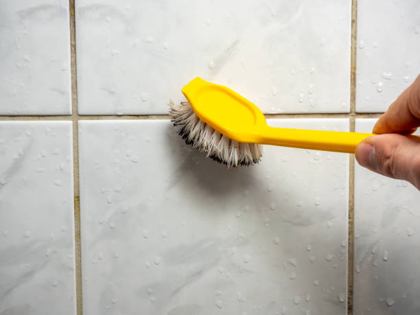 Best Local Mold Removal Service  in Jasper, FL