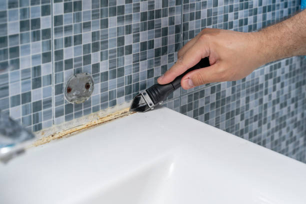 Best Affordable Mold Removal  in Jasper, FL