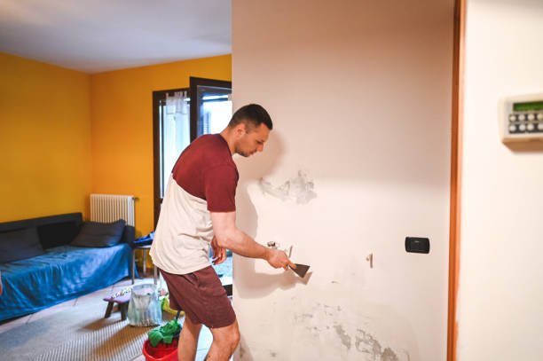 Best Toxic Mold Removal  in Jasper, FL